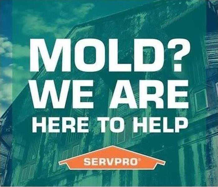 MOLD? We are here to help