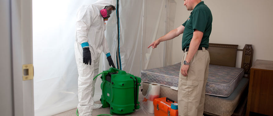 Westfield, TX mold removal process